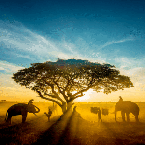 Southafrica 11 Days -