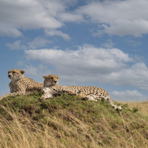 Rwanda 5Days - Musanze, Kigali